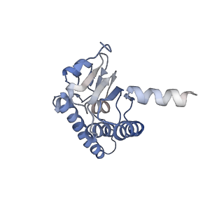 10162_6sfx_A_v1-1
Cryo-EM structure of ClpP1/2 in the LmClpXP1/2 complex