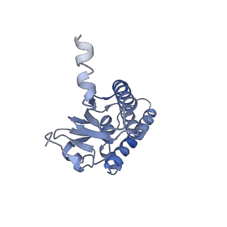 10162_6sfx_C_v1-1
Cryo-EM structure of ClpP1/2 in the LmClpXP1/2 complex