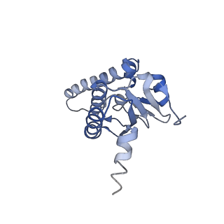 10162_6sfx_F_v1-1
Cryo-EM structure of ClpP1/2 in the LmClpXP1/2 complex