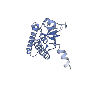 10162_6sfx_G_v1-1
Cryo-EM structure of ClpP1/2 in the LmClpXP1/2 complex