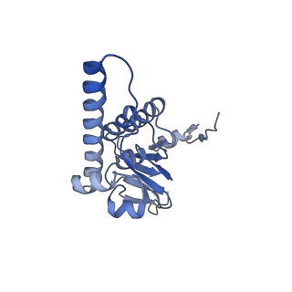 10162_6sfx_H_v1-1
Cryo-EM structure of ClpP1/2 in the LmClpXP1/2 complex