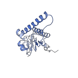 10162_6sfx_I_v1-1
Cryo-EM structure of ClpP1/2 in the LmClpXP1/2 complex
