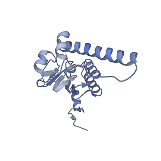 10162_6sfx_J_v1-1
Cryo-EM structure of ClpP1/2 in the LmClpXP1/2 complex