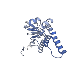 10162_6sfx_K_v1-1
Cryo-EM structure of ClpP1/2 in the LmClpXP1/2 complex
