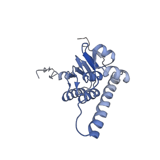 10162_6sfx_L_v1-1
Cryo-EM structure of ClpP1/2 in the LmClpXP1/2 complex