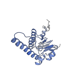 10162_6sfx_N_v1-1
Cryo-EM structure of ClpP1/2 in the LmClpXP1/2 complex