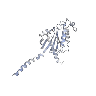 25076_7sf7_B_v1-1
LPHN3 (ADGRL3) 7TM domain bound to tethered agonist in complex with G protein heterotrimer