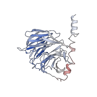 25076_7sf7_C_v1-1
LPHN3 (ADGRL3) 7TM domain bound to tethered agonist in complex with G protein heterotrimer