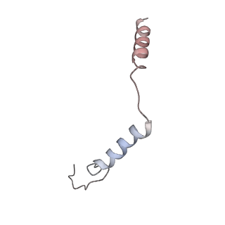 25076_7sf7_D_v1-1
LPHN3 (ADGRL3) 7TM domain bound to tethered agonist in complex with G protein heterotrimer