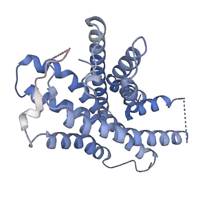 25077_7sf8_A_v1-1
GPR56 (ADGRG1) 7TM domain bound to tethered agonist in complex with G protein heterotrimer