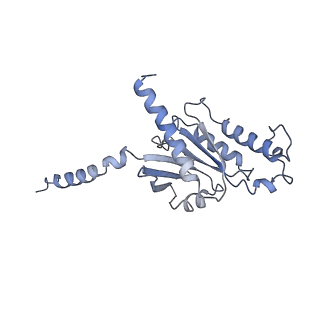 25077_7sf8_B_v1-1
GPR56 (ADGRG1) 7TM domain bound to tethered agonist in complex with G protein heterotrimer