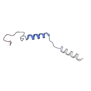 25077_7sf8_D_v1-1
GPR56 (ADGRG1) 7TM domain bound to tethered agonist in complex with G protein heterotrimer