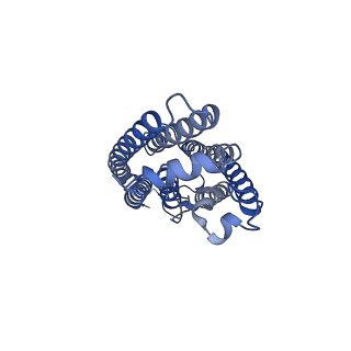 25079_7sfj_A_v1-2
ChRmine in MSP1E3D1 lipid nanodisc