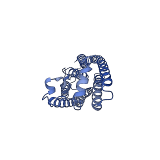 25079_7sfj_B_v1-2
ChRmine in MSP1E3D1 lipid nanodisc