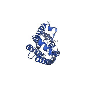 25079_7sfj_C_v1-2
ChRmine in MSP1E3D1 lipid nanodisc
