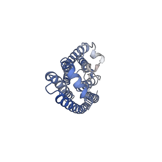 25091_7sfk_A_v1-2
ChRmine in MSP1E3D1 lipid nanodisc