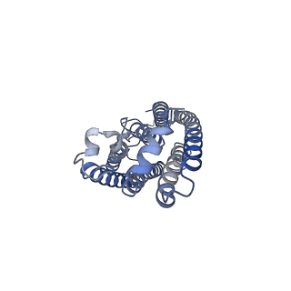 25091_7sfk_C_v1-2
ChRmine in MSP1E3D1 lipid nanodisc