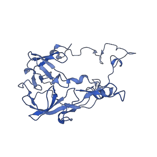 25100_7sfr_C_v1-2
Unmethylated Mtb Ribosome 50S with SEQ-9