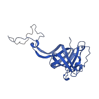 25100_7sfr_D_v1-2
Unmethylated Mtb Ribosome 50S with SEQ-9