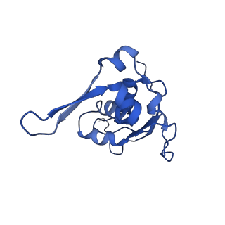 25100_7sfr_J_v1-2
Unmethylated Mtb Ribosome 50S with SEQ-9