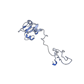 25100_7sfr_L_v1-2
Unmethylated Mtb Ribosome 50S with SEQ-9