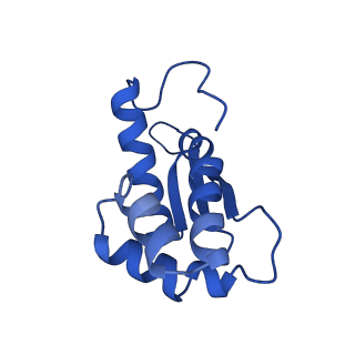 25100_7sfr_N_v1-2
Unmethylated Mtb Ribosome 50S with SEQ-9
