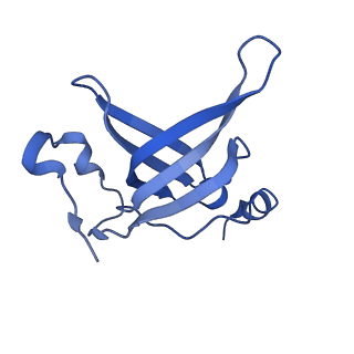 25100_7sfr_P_v1-2
Unmethylated Mtb Ribosome 50S with SEQ-9