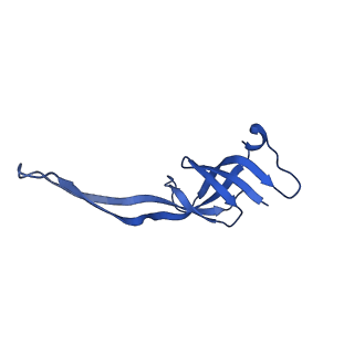 25100_7sfr_R_v1-2
Unmethylated Mtb Ribosome 50S with SEQ-9