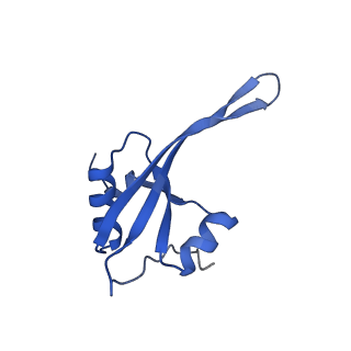 25100_7sfr_T_v1-2
Unmethylated Mtb Ribosome 50S with SEQ-9