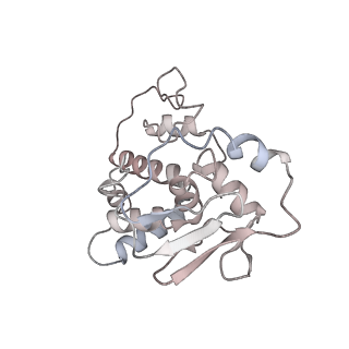 25100_7sfr_d_v1-2
Unmethylated Mtb Ribosome 50S with SEQ-9