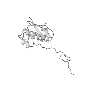25100_7sfr_i_v1-2
Unmethylated Mtb Ribosome 50S with SEQ-9