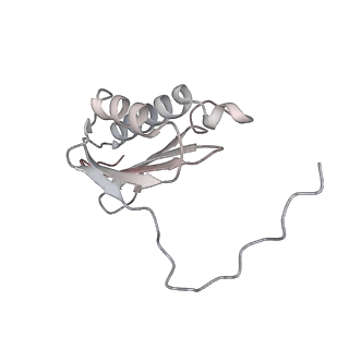 25100_7sfr_k_v1-2
Unmethylated Mtb Ribosome 50S with SEQ-9