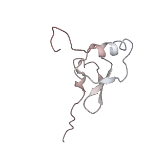 25100_7sfr_s_v1-2
Unmethylated Mtb Ribosome 50S with SEQ-9