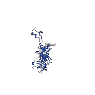 25101_7sfs_B_v1-1
In situ cryo-EM structure of bacteriophage Sf6 portal:gp7 complex at 2.7A resolution