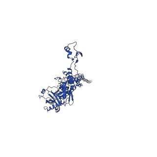 25101_7sfs_C_v1-1
In situ cryo-EM structure of bacteriophage Sf6 portal:gp7 complex at 2.7A resolution