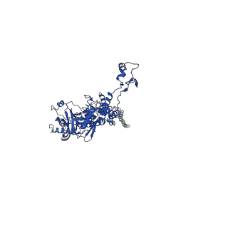 25101_7sfs_D_v1-1
In situ cryo-EM structure of bacteriophage Sf6 portal:gp7 complex at 2.7A resolution