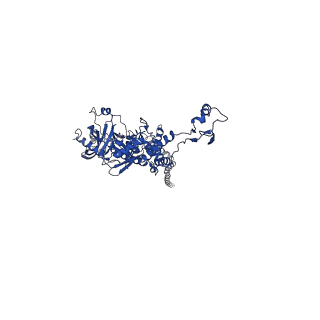 25101_7sfs_E_v1-1
In situ cryo-EM structure of bacteriophage Sf6 portal:gp7 complex at 2.7A resolution