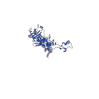 25101_7sfs_F_v1-1
In situ cryo-EM structure of bacteriophage Sf6 portal:gp7 complex at 2.7A resolution