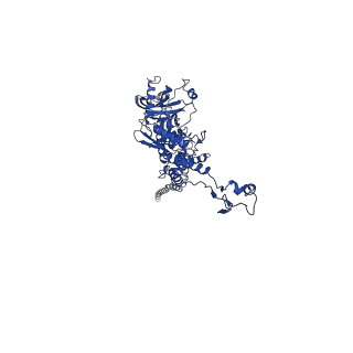25101_7sfs_G_v1-1
In situ cryo-EM structure of bacteriophage Sf6 portal:gp7 complex at 2.7A resolution