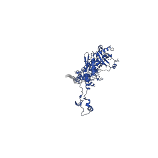 25101_7sfs_I_v1-1
In situ cryo-EM structure of bacteriophage Sf6 portal:gp7 complex at 2.7A resolution