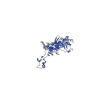 25101_7sfs_J_v1-1
In situ cryo-EM structure of bacteriophage Sf6 portal:gp7 complex at 2.7A resolution