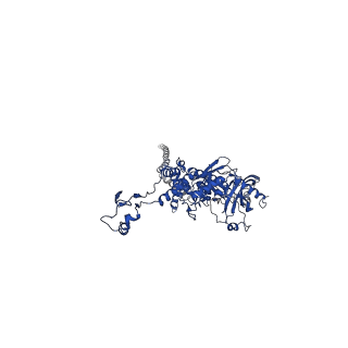 25101_7sfs_K_v1-1
In situ cryo-EM structure of bacteriophage Sf6 portal:gp7 complex at 2.7A resolution