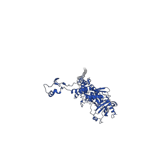 25101_7sfs_M_v1-1
In situ cryo-EM structure of bacteriophage Sf6 portal:gp7 complex at 2.7A resolution