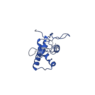 25101_7sfs_O_v1-1
In situ cryo-EM structure of bacteriophage Sf6 portal:gp7 complex at 2.7A resolution