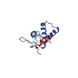 25101_7sfs_Q_v1-1
In situ cryo-EM structure of bacteriophage Sf6 portal:gp7 complex at 2.7A resolution
