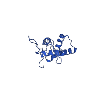 25101_7sfs_S_v1-1
In situ cryo-EM structure of bacteriophage Sf6 portal:gp7 complex at 2.7A resolution