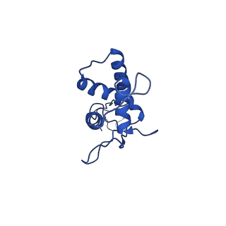 25101_7sfs_T_v1-1
In situ cryo-EM structure of bacteriophage Sf6 portal:gp7 complex at 2.7A resolution