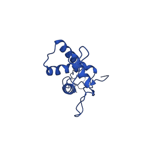 25101_7sfs_U_v1-1
In situ cryo-EM structure of bacteriophage Sf6 portal:gp7 complex at 2.7A resolution