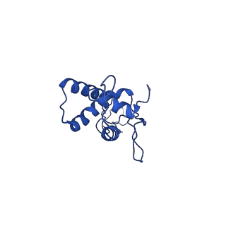 25101_7sfs_W_v1-1
In situ cryo-EM structure of bacteriophage Sf6 portal:gp7 complex at 2.7A resolution