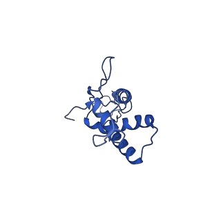 25101_7sfs_X_v1-1
In situ cryo-EM structure of bacteriophage Sf6 portal:gp7 complex at 2.7A resolution